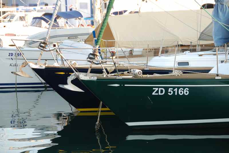 [Immagine: 2012813221319_ALpa a Zara 2.jpg]